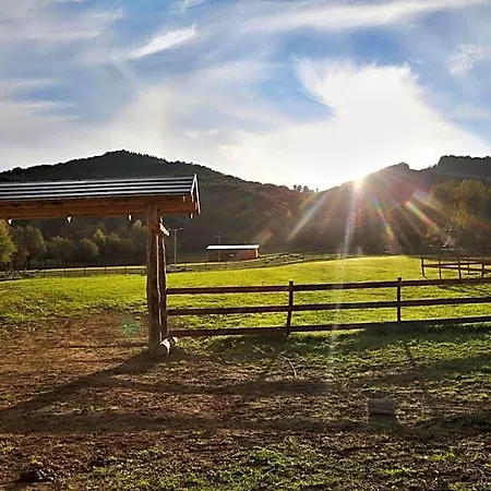 Ranc Regetovka *